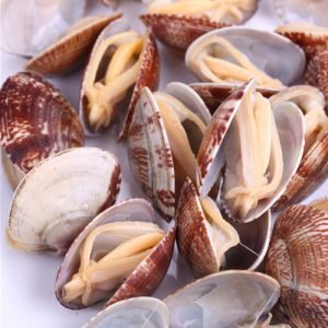 Clam 1LB Bag Whole Baby