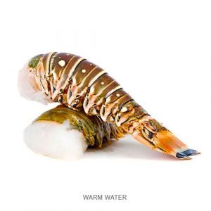 Lobster Tail Warm/Cold size 4-5oz/ 10-12oz / Lb