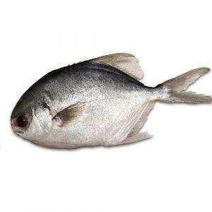 Whole Pompano Fish / Lb